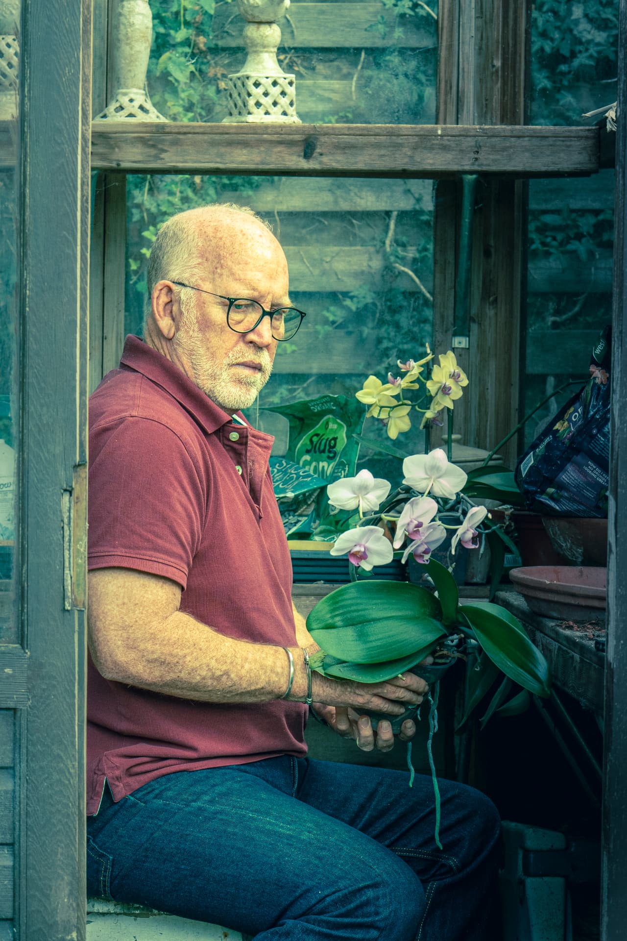 Doug em sua estufa, segurando um vaso de orquídeas em flor