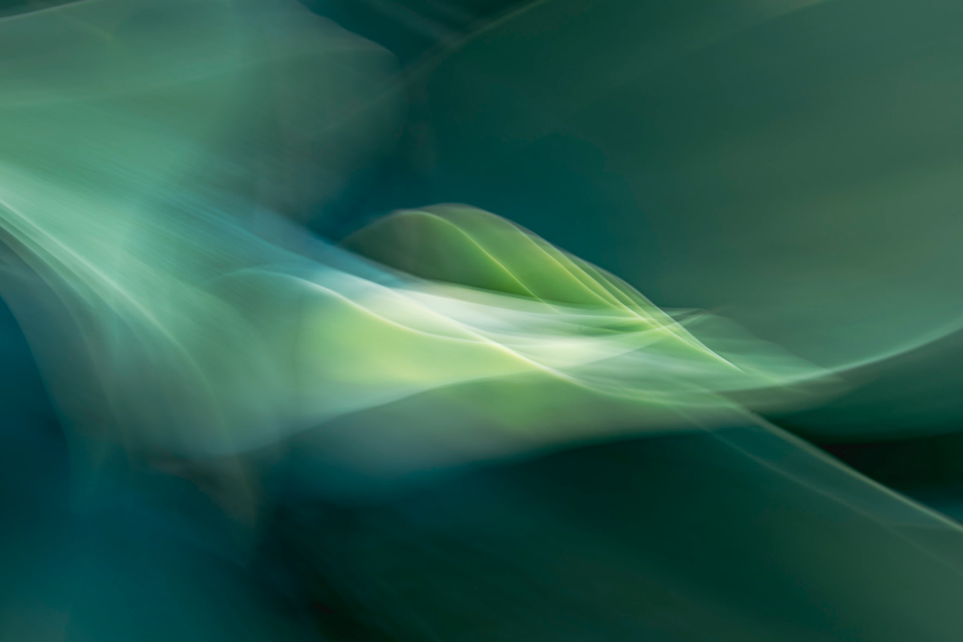 Maré Esmeralda — fotografia botânica abstrata de Dougbraz