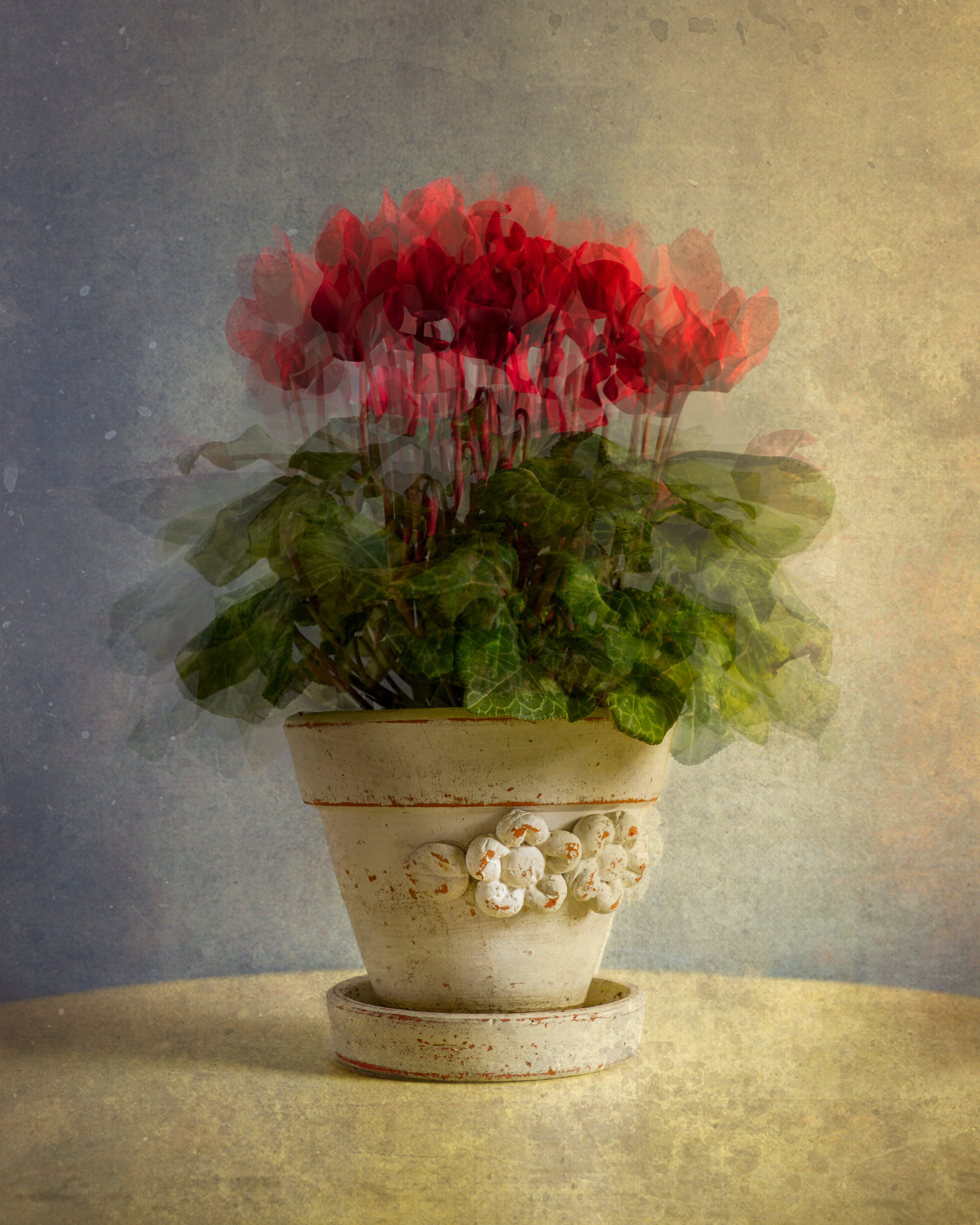 Natureza Viva — fotografia floral abstrata de Dougbraz